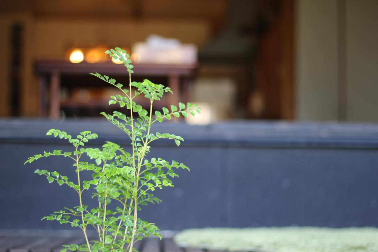 晴家 Guest House Fujikawaguchiko Ngoại thất bức ảnh
